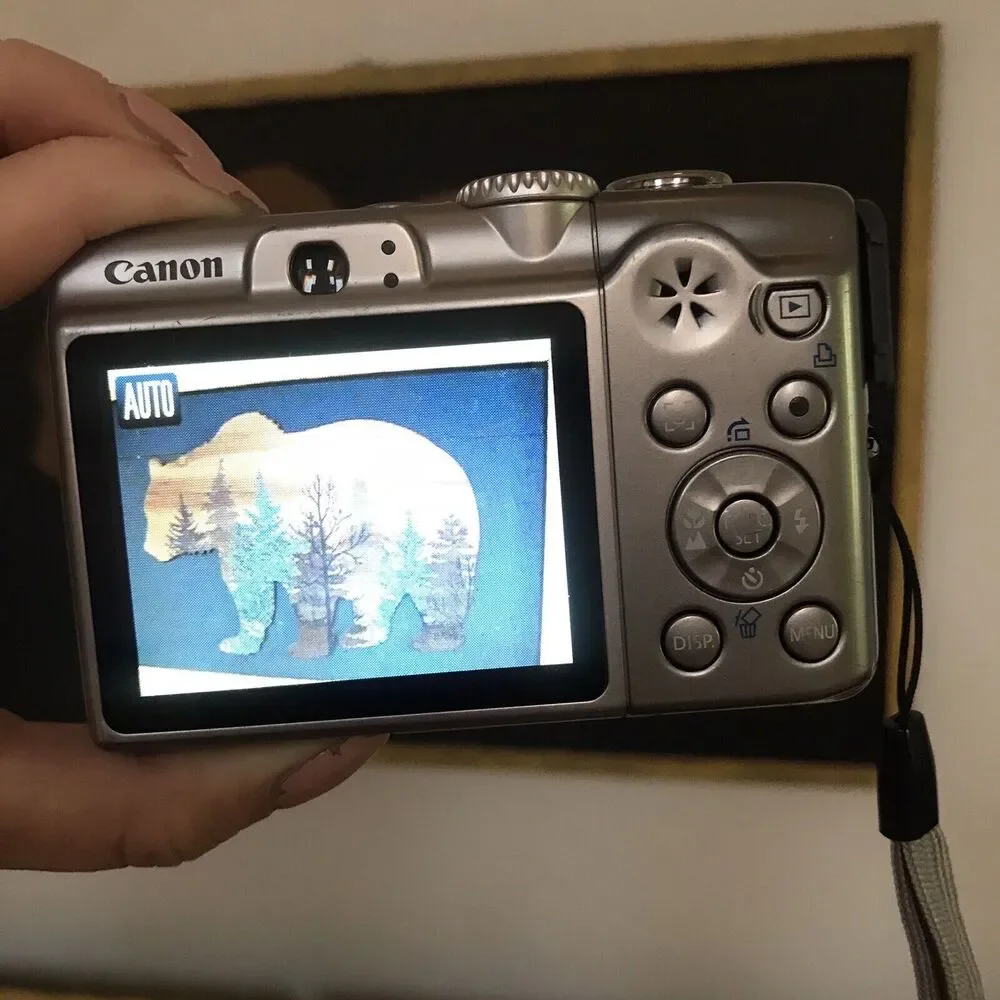 Canon PowerShot A1100IS 12.1 MP Digital Camera 4x Optical Image Stabilized WORKS
